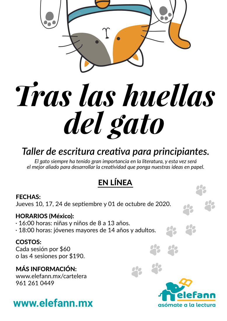 Tras las huellas del gato