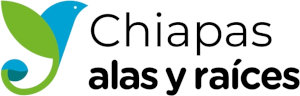 Alas y Raíces Chiapas