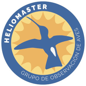 Heliomaster