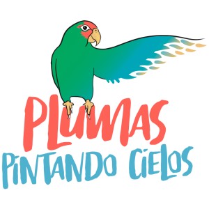 Plumas pintando cielos